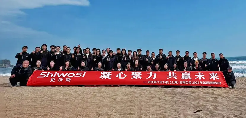SHIWOSI team members working together